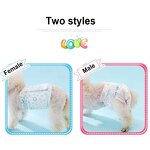 Dog Diapers Factory - Pet Accessories Male Female Pet Pad Disposable