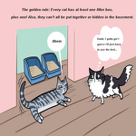 Cat Litter Manufacturer - OEM Low Dust Eco Friendly Ball Shape Bentonite