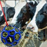 Hay Ball Feeder Manufacturer - Hanging Girth Customized Horse Equipment Stress Reliever Treat