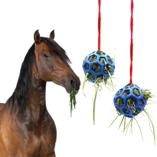 Horse Treat Ball Manufacturer - Hanging Feeding Ball for Horse Goat Sheep Stress Reliever
