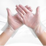 TPE Gloves Manufacturer - Non Toxic Clear Food Service Latex Free Waterproof