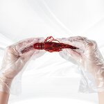 PE Mitten Manufacturer - Food Grade Clear Transparent Ldpe Poly Polyethylene