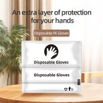 Disposable Gloves Factory - Cheap Plastic TPe for Cosmetic Cooking Hair Dye