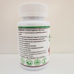 益生菌软糖源头工厂 - 无糖素食代工