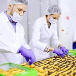 Nitrile Gloves Factory - Box of 100 Purple Logo Custom Barber Tattoo Beauty