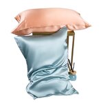 Silk Pillowcase Manufacturer - Wholesale 48x74cm 22 Momme 100% Mulberry Silk
