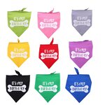 Pet Bandana Manufacturer - Tanpopo Luxury Personalized Custom Dog Cat Polyester Printed Birthday