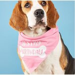 Pet Bandana Manufacturer - Tanpopo Luxury Personalized Custom Dog Cat Polyester Printed Birthday