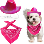 Pet Hat Scarf Set Manufacturer - Iridescent Cowboy Style for Dogs and Cats Traditional Western