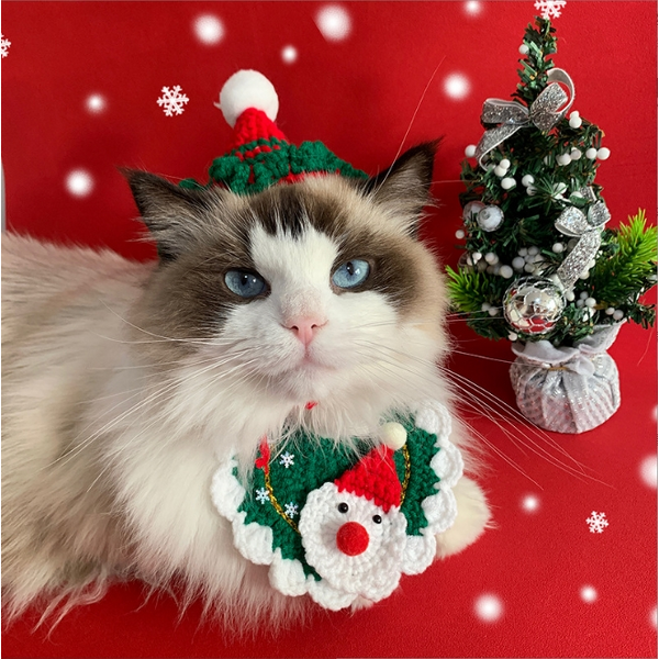 Pet Hat Scarf Set Manufacturer - Cute Winter Knitted for Cat Dog Christmas Premium Apparel