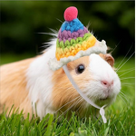 Pet Hat Manufacturer - Handmade Winter Small Frog Rabbit Carrot Pagoda Knitted for Hamsters