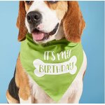Pet Bandana Manufacturer - Tanpopo Luxury Personalized Custom Dog Cat Polyester Printed Birthday