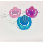 Pet Hat Scarf Set Manufacturer - Iridescent Cowboy Style for Dogs and Cats Traditional Western