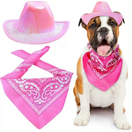 Pet Hat Scarf Set Manufacturer - Iridescent Cowboy Style for Dogs and Cats Traditional Western