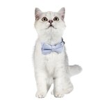 Cat Bow Tie Manufacturer - Classic Stylish Polyester Adjustable Safe Cute Animal Print