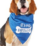 Pet Bandana Manufacturer - Tanpopo Luxury Personalized Custom Dog Cat Polyester Printed Birthday
