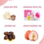 Lip Sleeping Mask Factory - Organic Collagen Plumping Vitamin C Aloe Vera