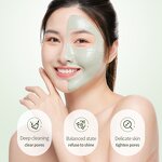 Clay Mask Manufacturer - Mugwort Pore Purification Acne Clear