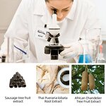 Breast Cream Manufacturer - 50g Private Label Vegan Herbal Firming Enhancer