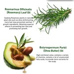 Hair Growth Oil Factory - Own Brand Organic Rosemary Tea Tree Keratin