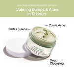 Clay Mask Factory - OEM Anti-Pore & Acne Reduces Redness Soothes