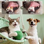 Pet Teeth Cleaning Water Manufacturer - OEM 237ml Plaque Prevention