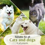 Pet Paw Stick Factory - All Natural Food Grade 40g