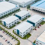 Sunscreen Cream Factory - Private Label Pallas Moisturizing SPF 50