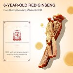 Skin Care Set Factory - 6 Piece Vegan Gift Box OEM