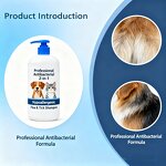Flea Shampoo Manufacturer - Professional Antibacterial 2-in-1