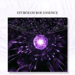 Caviar Skin Care Set Manufacturer - Private Label Best Selling