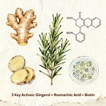 Hair Thickening Shampoo Factory - Advanced Scalp Revitalizing