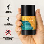 Deodorant Stick Factory - Full Body Long-lasting Fragrance Suitable Sensitive Skin