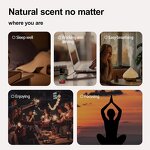 Essential Oil Manufacturer - Hair Care Skin Care Air Freshener 10ml Pure Lavender