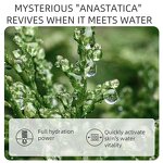 Watermelon Sleeping Mask Manufacturer - Hot Sale Hydrating Brightening Glow Overnight