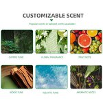 Deodorant Stick Factory - Natural Men UltraClear Refillable Whole Body 72 Hour