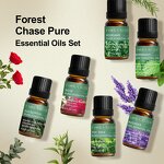 Essential Oil Manufacturer - Hair Care Skin Care Air Freshener 10ml Pure Lavender