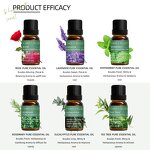 Essential Oil Manufacturer - Hair Care Skin Care Air Freshener 10ml Pure Lavender