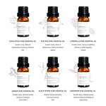 Essential Oil Gift Set Manufacturer - Flora Ruby Wholesale 10ml Pure 6 Bottles