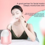 面部蒸脸仪生产商-批发专业迷你离子纳米喷雾电热