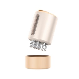 Laser Massage Comb Supplier - OEM 2019 Hot Selling New Design Hair Restoration Comb Kit