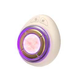 Jade Roller Massager Supplier - OEM Microcurrent High Frequency Galvanic LED Heated