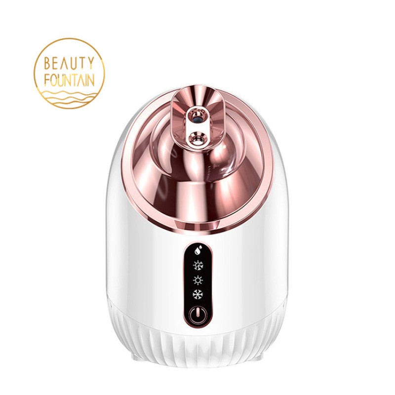 Facial Steamer Manufacturer - Bulk Professional Mini Ionic Nano Mist Spray Electric