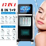 Hydro Skin Care Machine Factory - Newest Hot Sale 17-IN-1 Hydra Multifunction 2024d