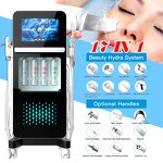 Hydro Skin Care Machine Factory - Newest Hot Sale 17-IN-1 Hydra Multifunction 2024d