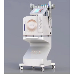 Hydro Oxygen Jet Machine Factory - 14 in 1 OEM&ODM Factory Customized Y Salon Facial