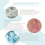 Derma Stamp Factory - Adjustable 0-3.0mm for Face & Hair Microneedling CE ROHS