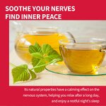 Red Raspberry Leaf Tea Factory - Female Beauty Care Herbal