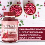 Cranberry Gummies Factory - Female Health Care Probiotics