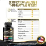 Ashwagandha Shilajit Factory - Private Label Capsules Gummy